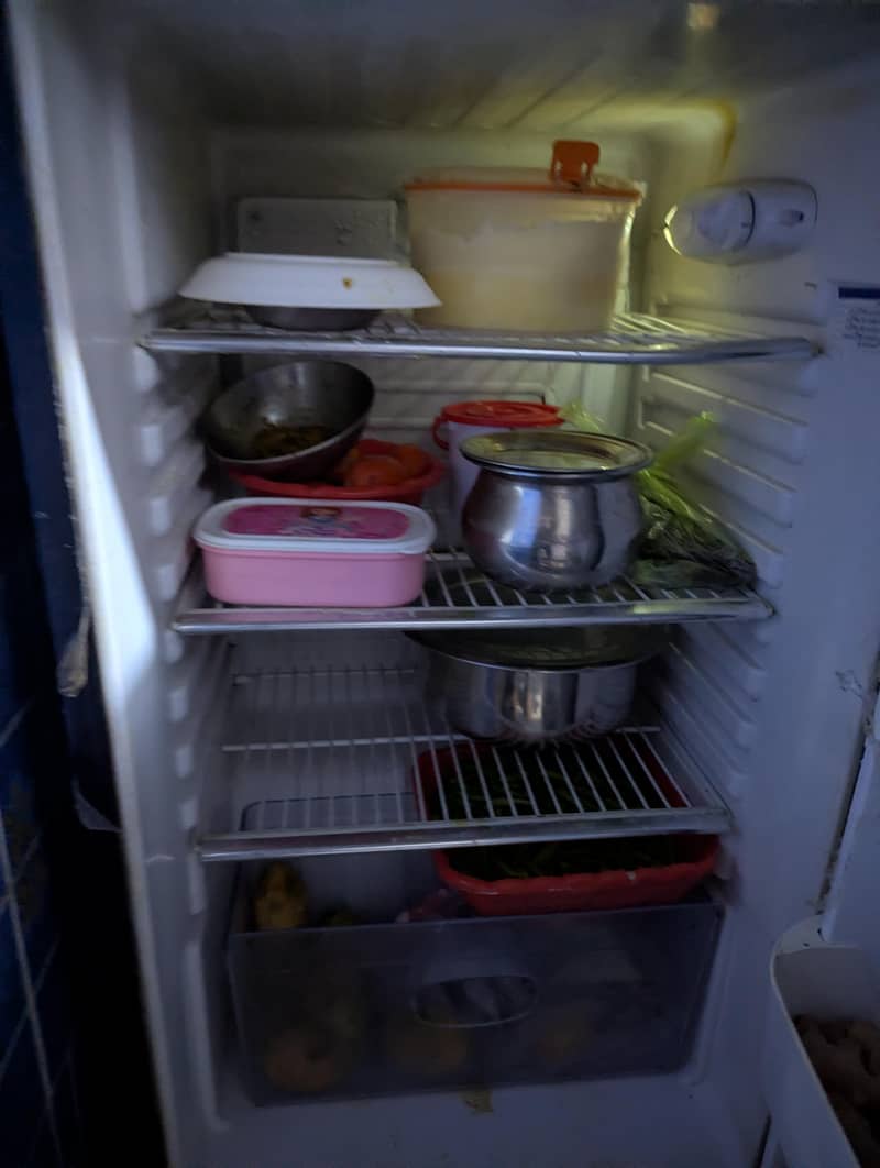 orient fridge 2