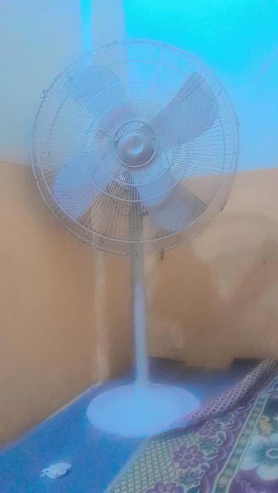 pak fan stnad fan for sell . gud condition waroing
