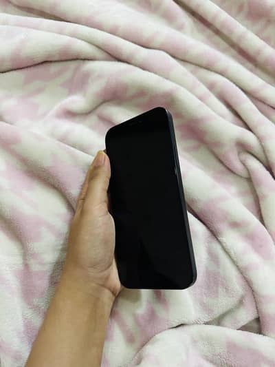 Apple iPhone 12 Factory Unlock