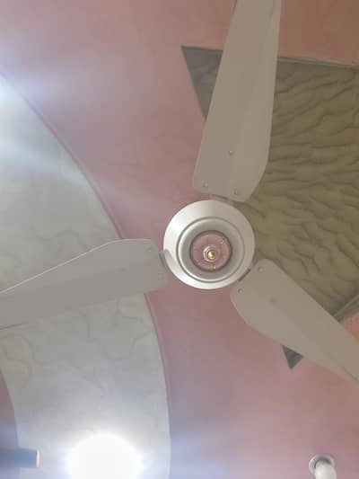 Ceiling Fans