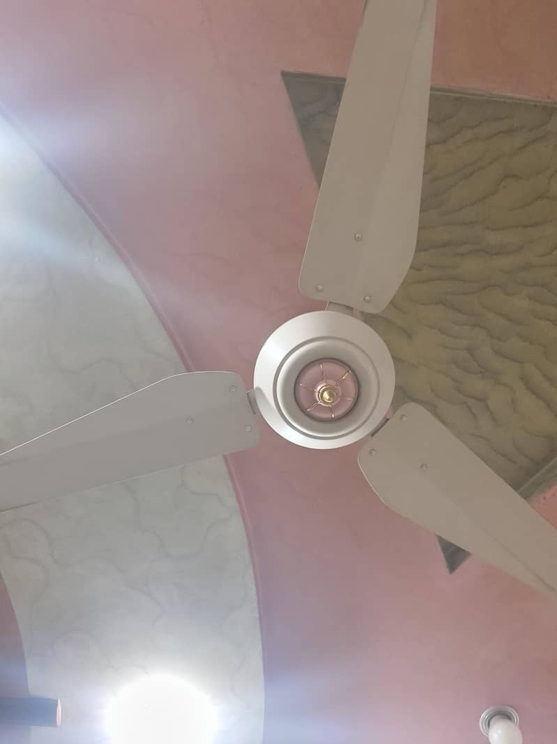 Ceiling Fans 0