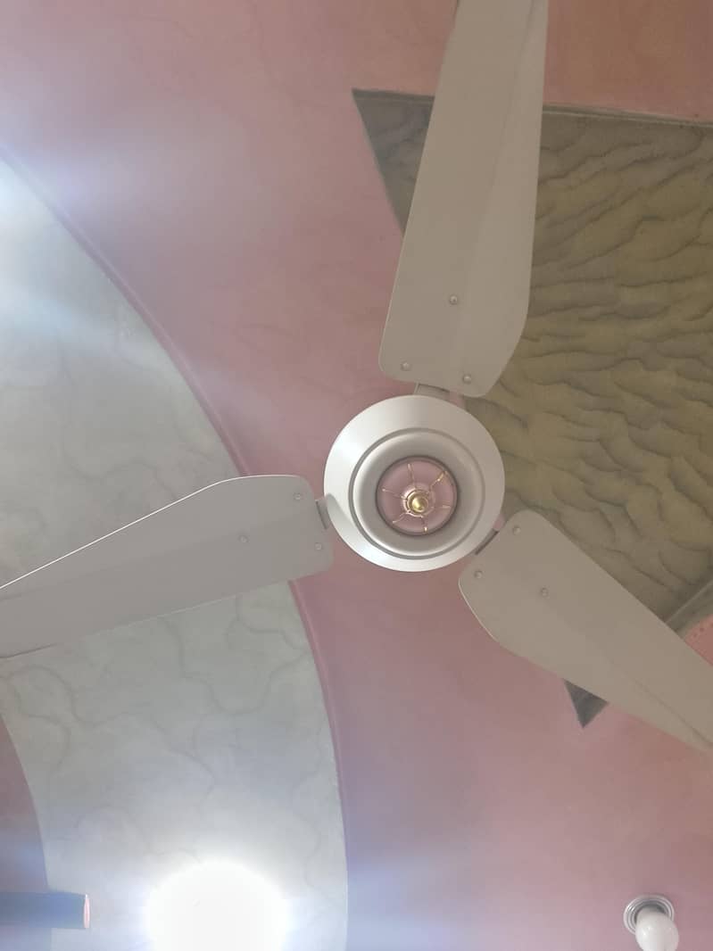 Ceiling Fans 1