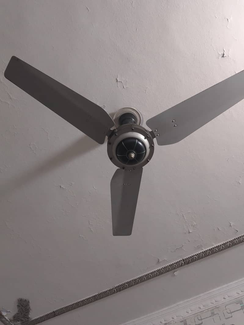 Ceiling Fans 2