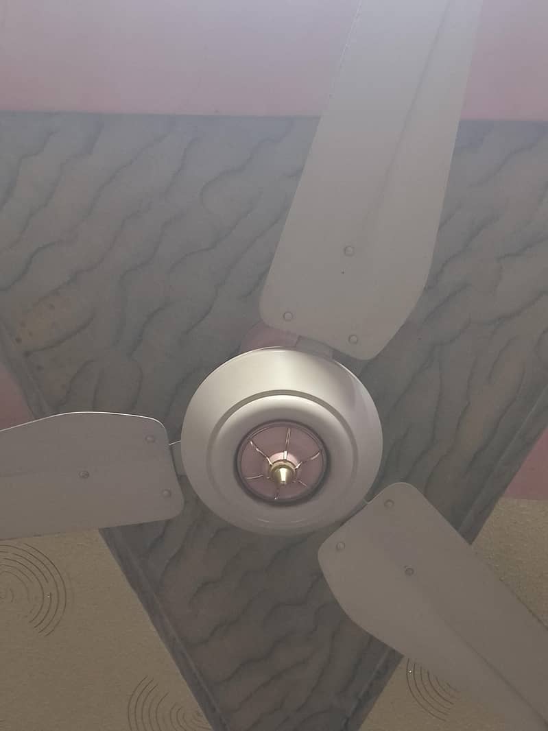 Ceiling Fans 3