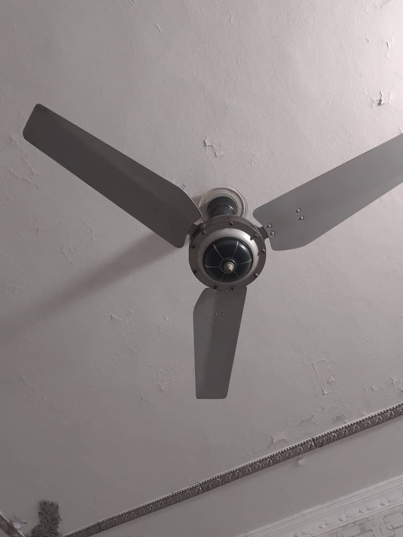 Ceiling Fans 4
