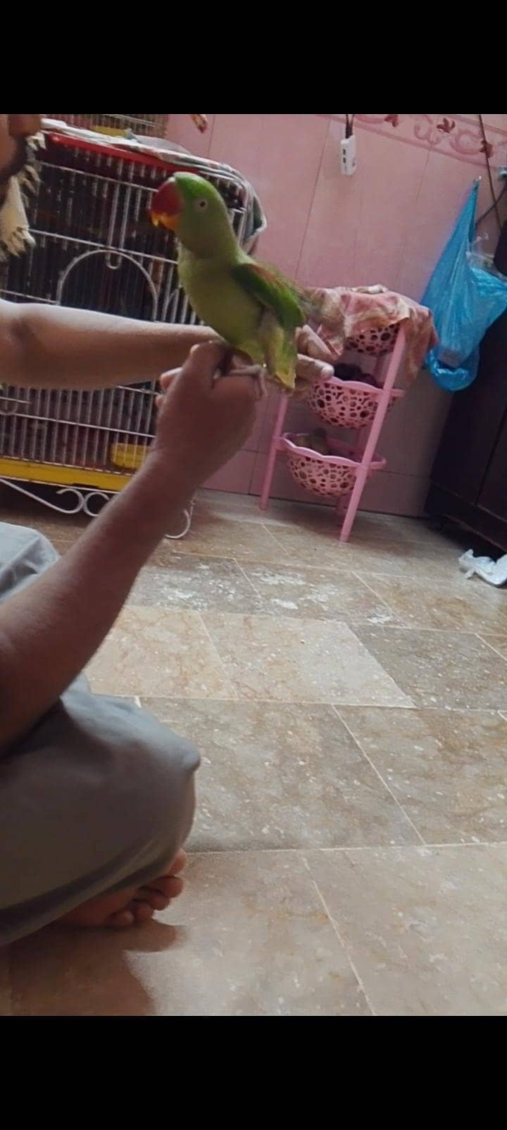hand team 0