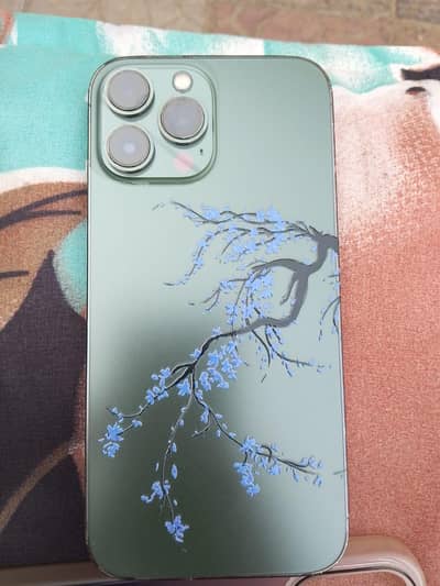 Apple iPhone 13 Pro Max