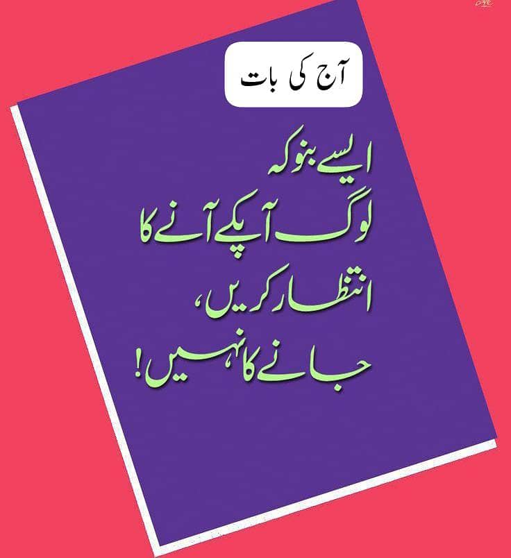 میاں بیوی  بغیر بچوں کے کھانا پکانے کی جاب 0