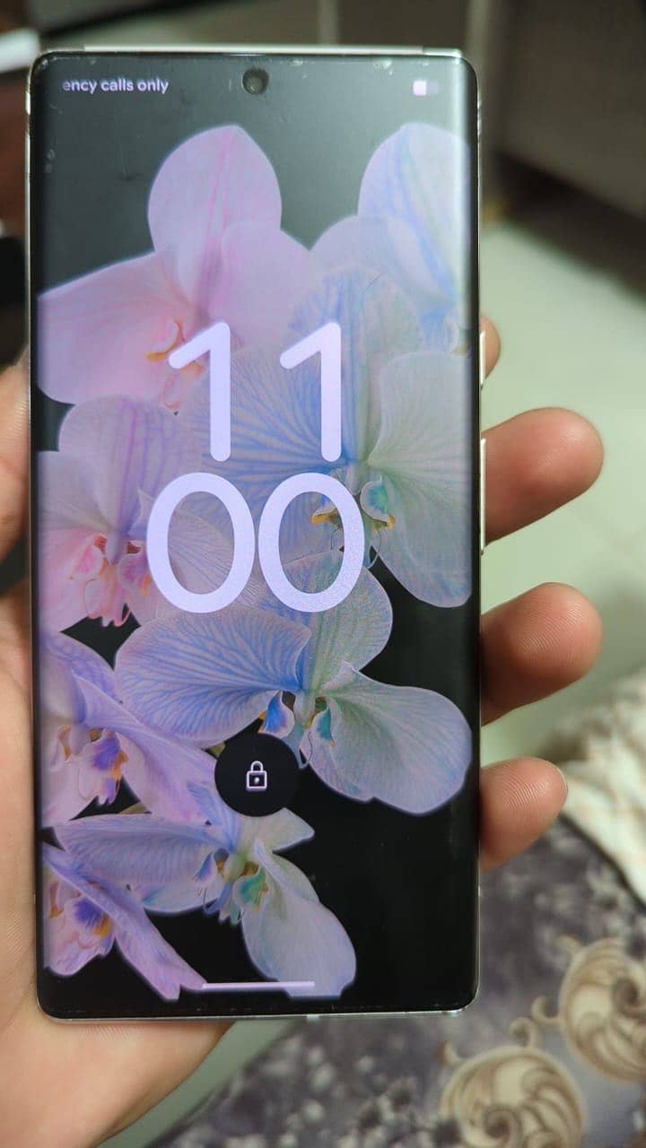 Google Pixel 6 Pro 1