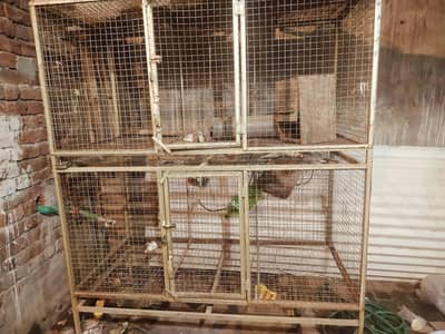 Birds Cage With New trays