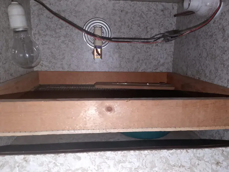 Eggs incubator — photo 2