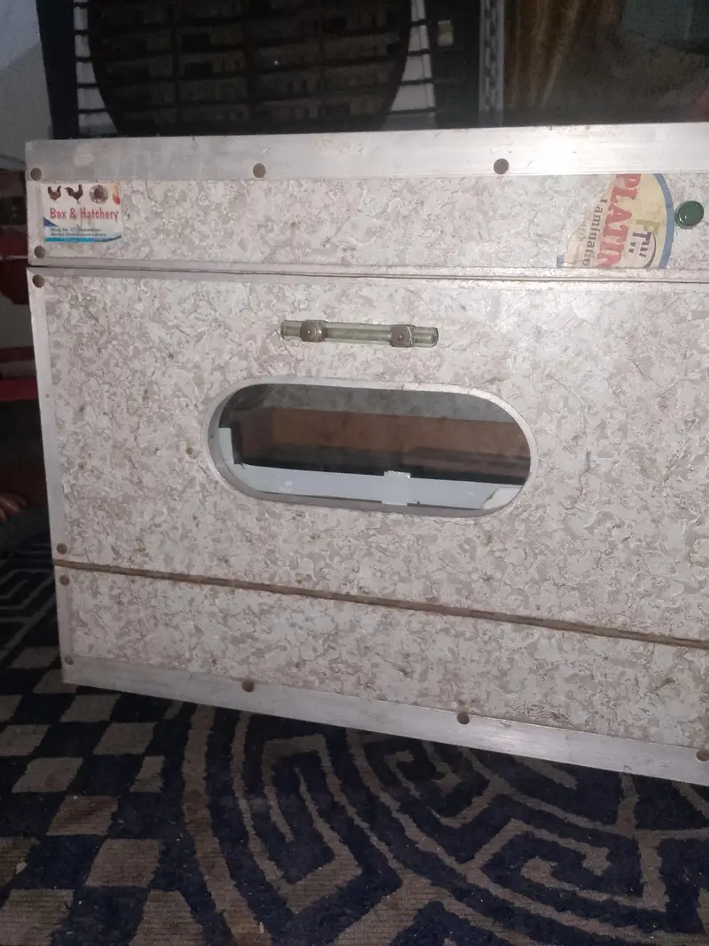 Eggs incubator — photo 4