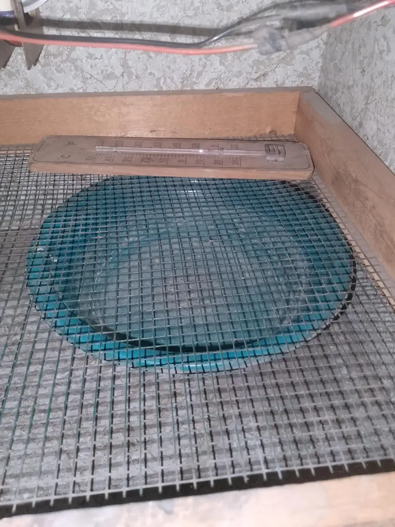 Eggs incubator — photo 5