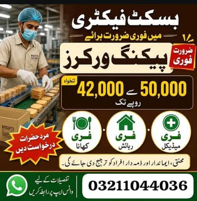 need urgent staff biscuits packing factory male and female jobs