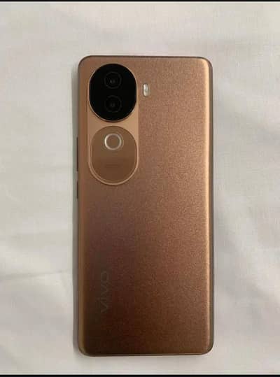 Vivo V40e