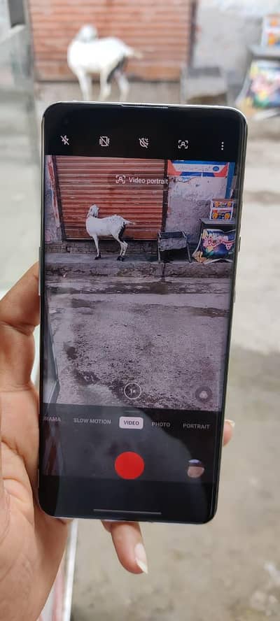 oneplus