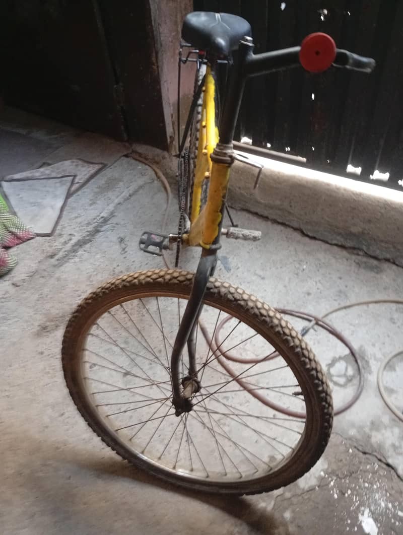 bicycle 2