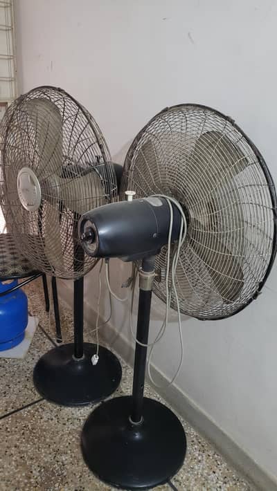 Belvin & Royal Pedestal fans