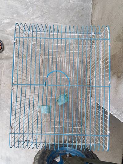 Parrot cage (Totay ka pinjra)