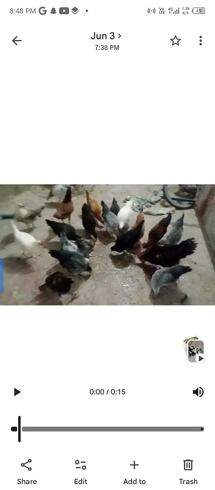 20 Desi murgion live