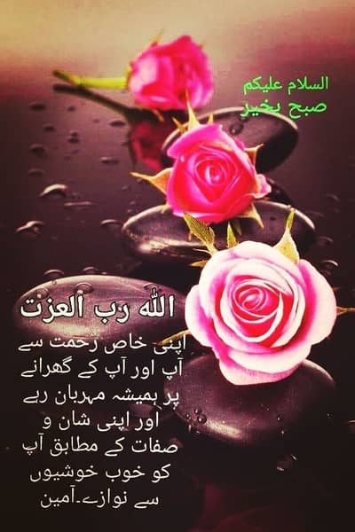 Jib chahye