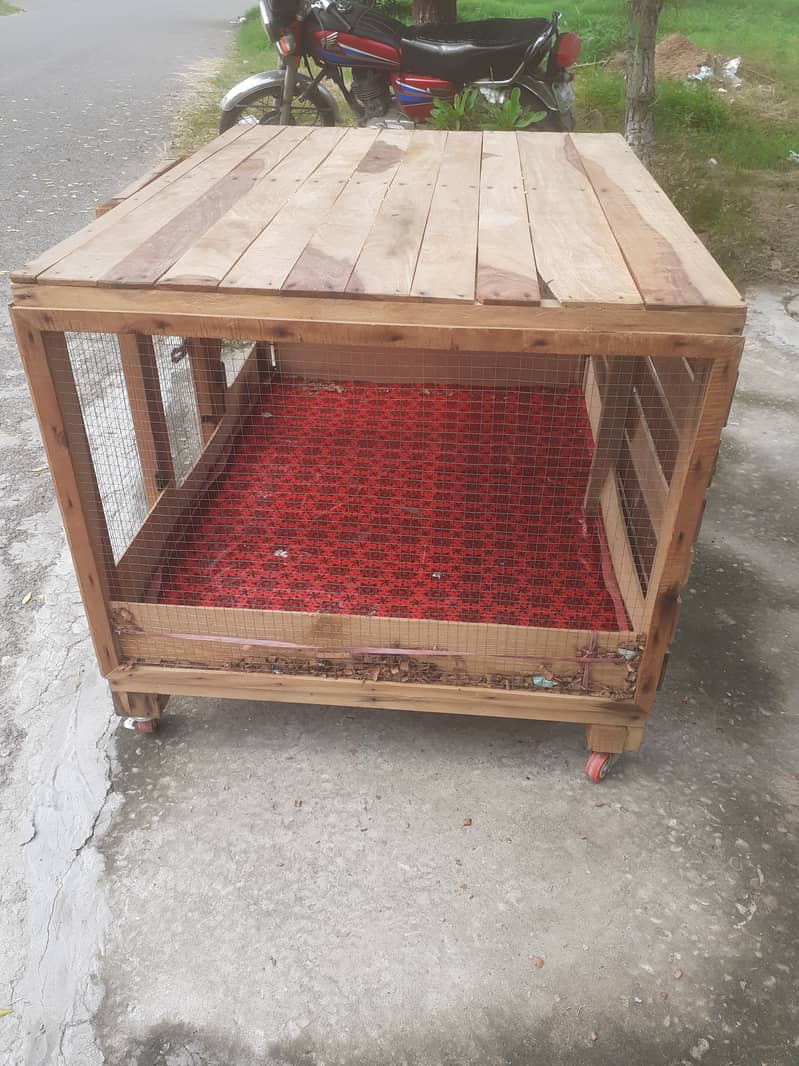 Hen cage 2