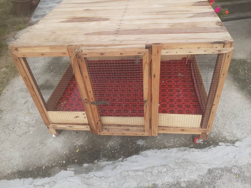Hen cage 3