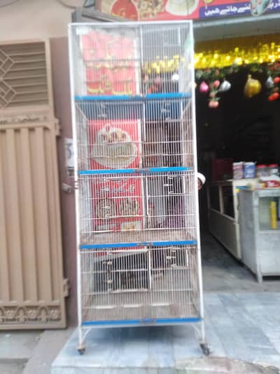 Birds Cage