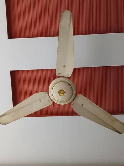 Ceiling Fan