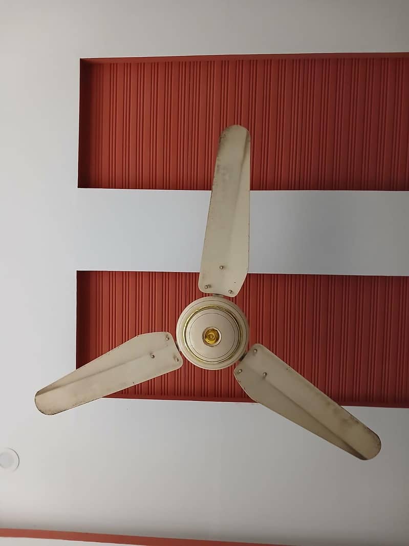 Ceiling Fan 1