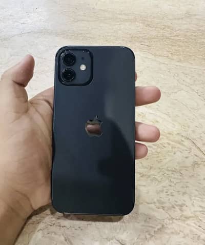 I PHONE 12 non pta
