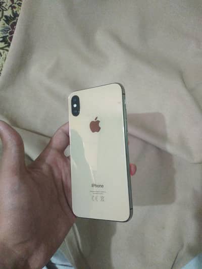 Apple iPhone X
