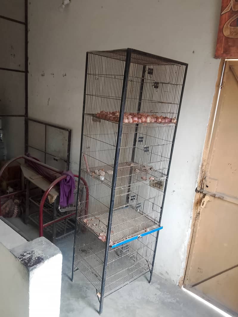 Parrot cage 0
