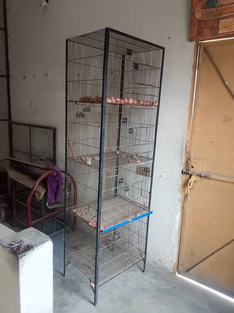 Parrot cage 1