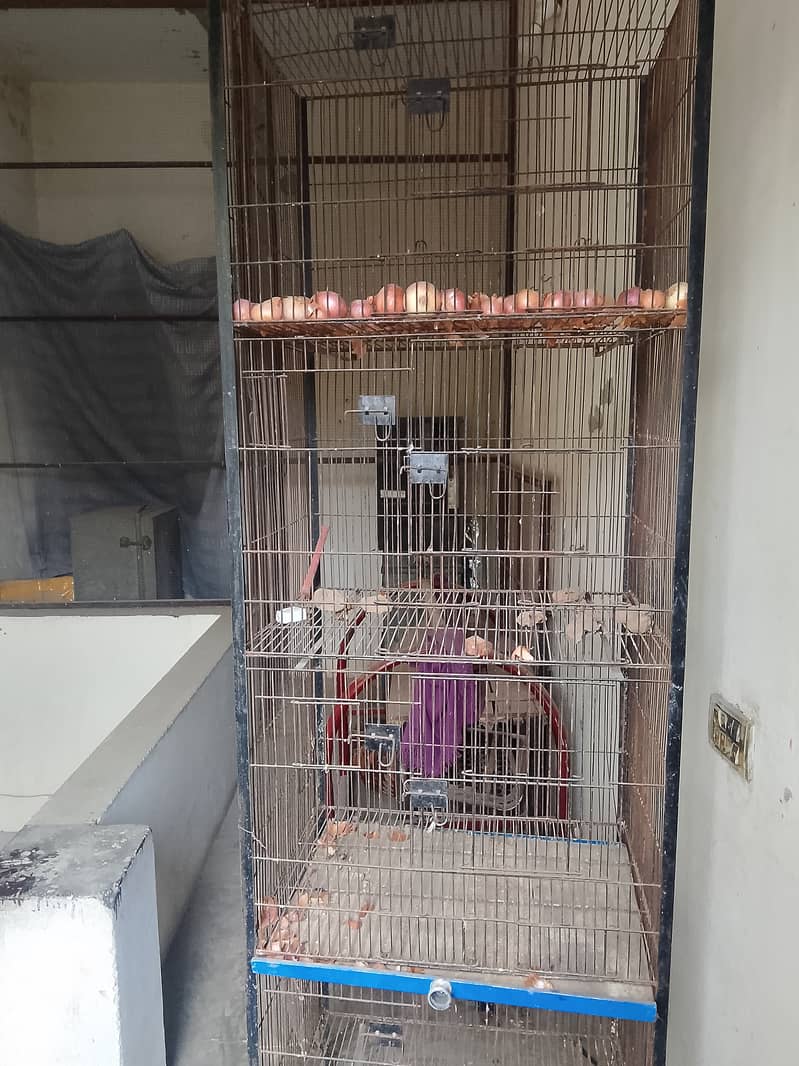 Parrot cage 2