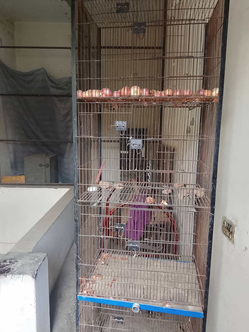 Parrot cage 3