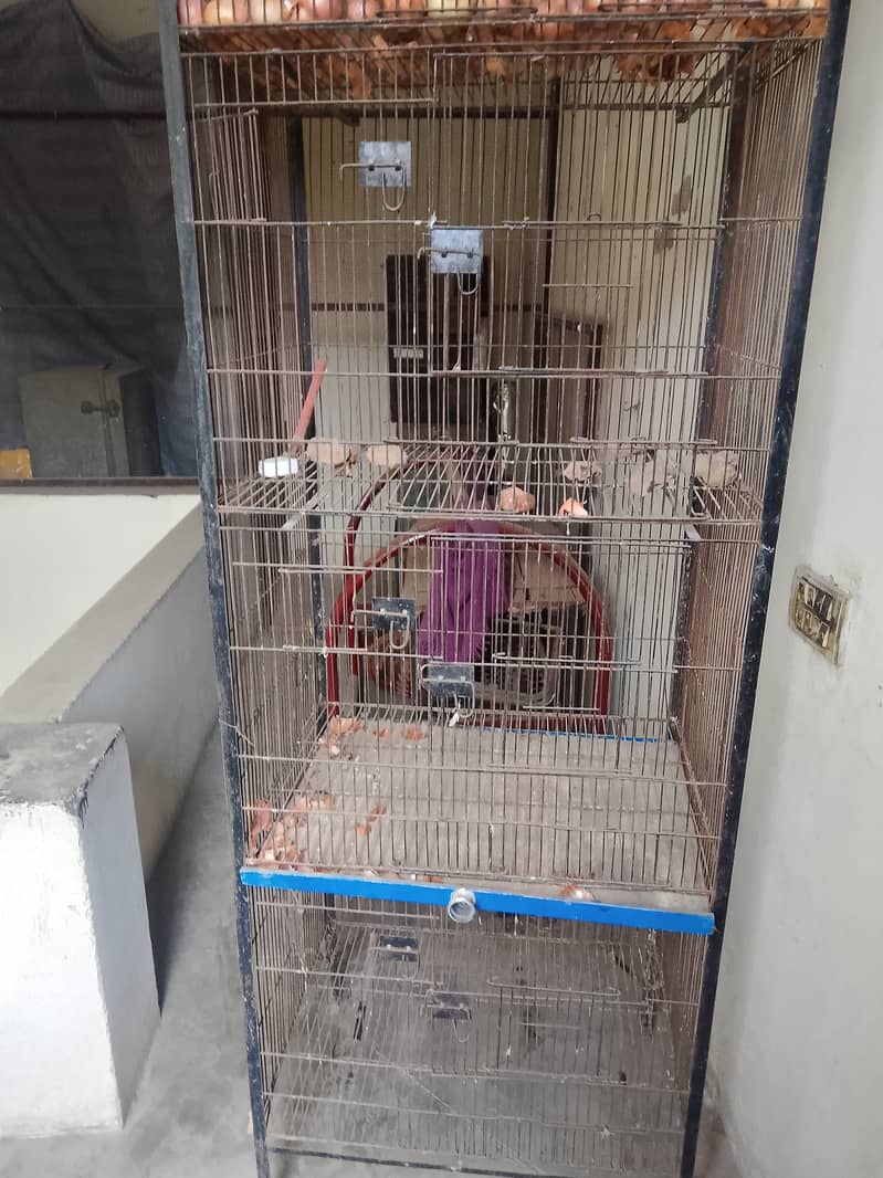 Parrot cage 4