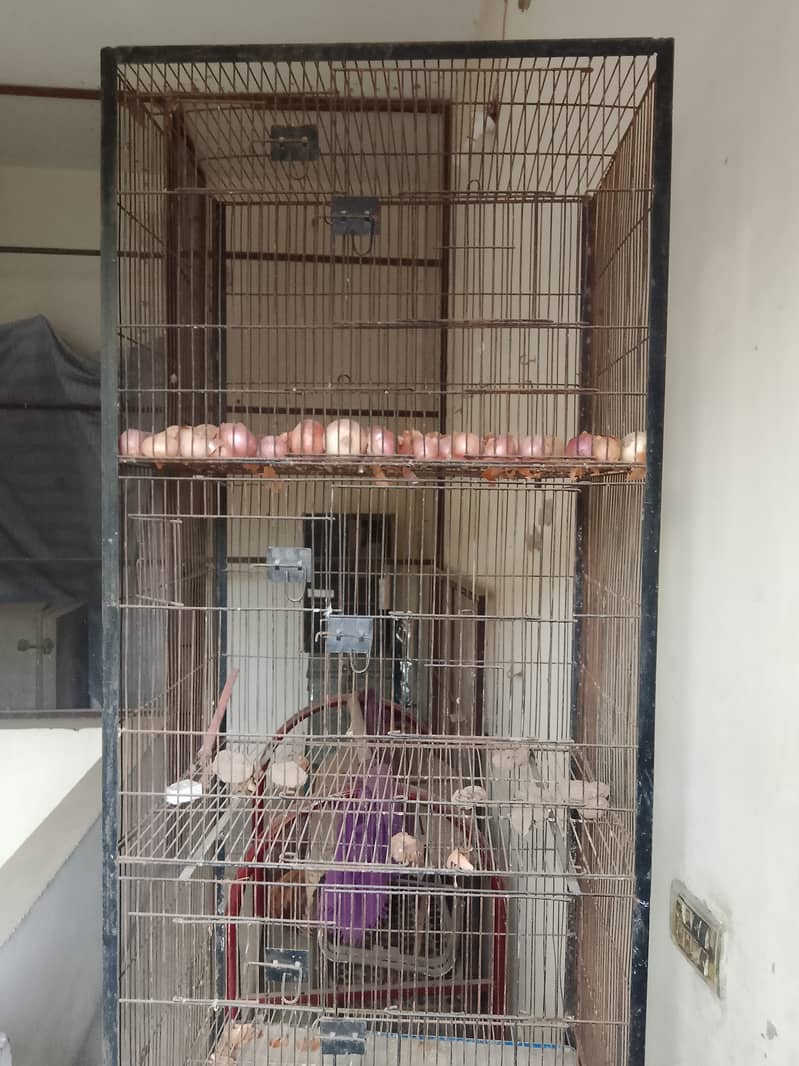 Parrot cage 5