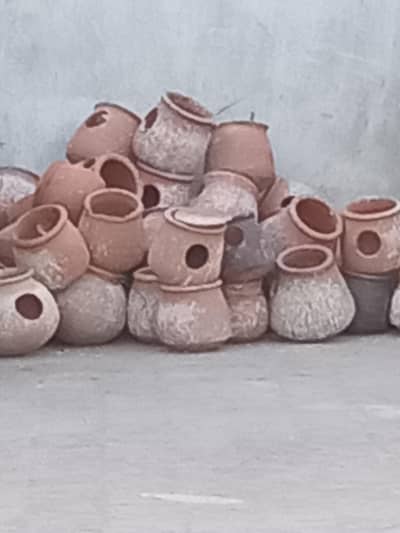 Nest kujjy for birds