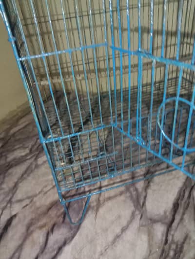 Bird cages