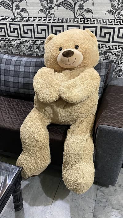 teddy bear