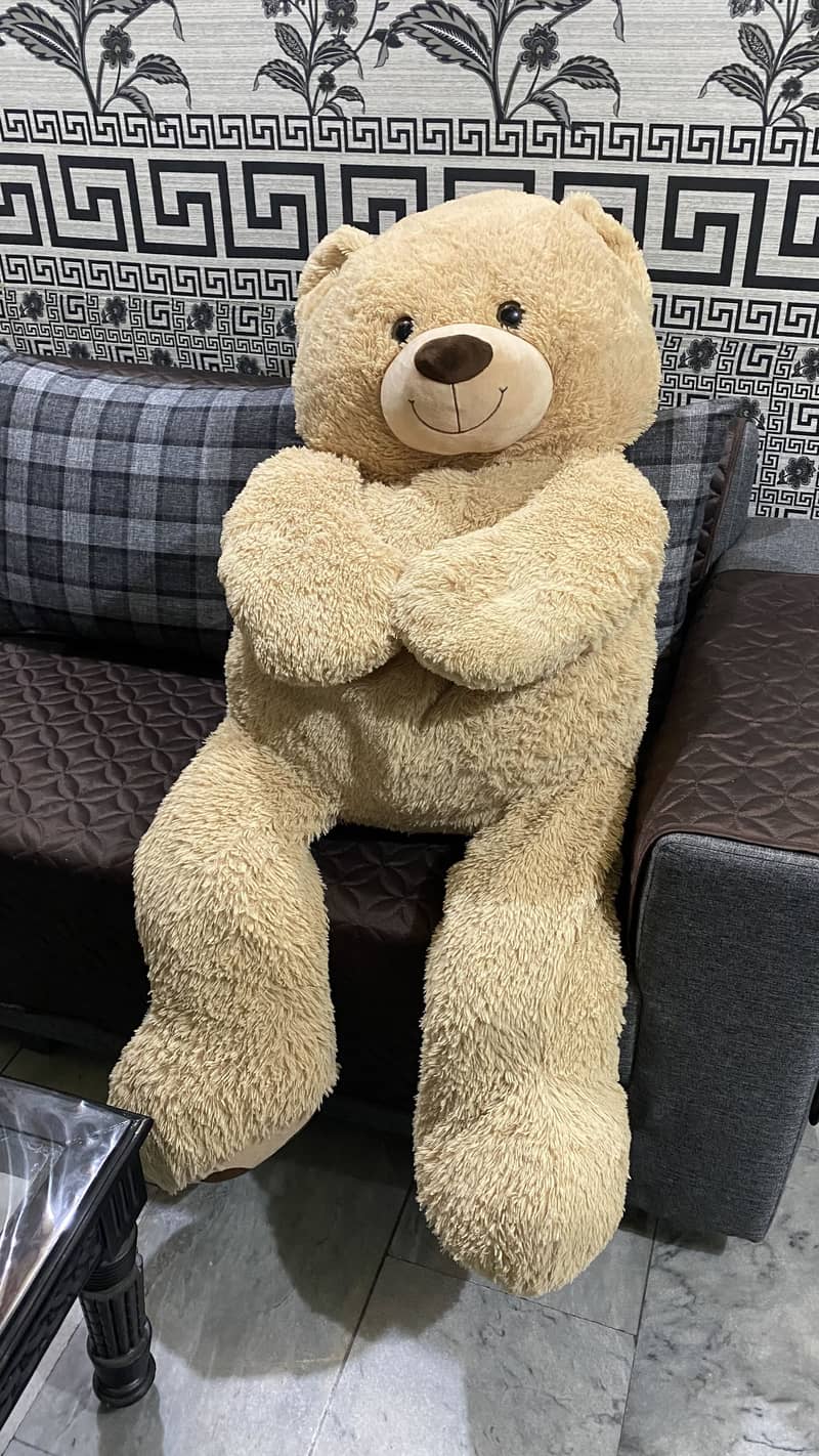 teddy bear 0