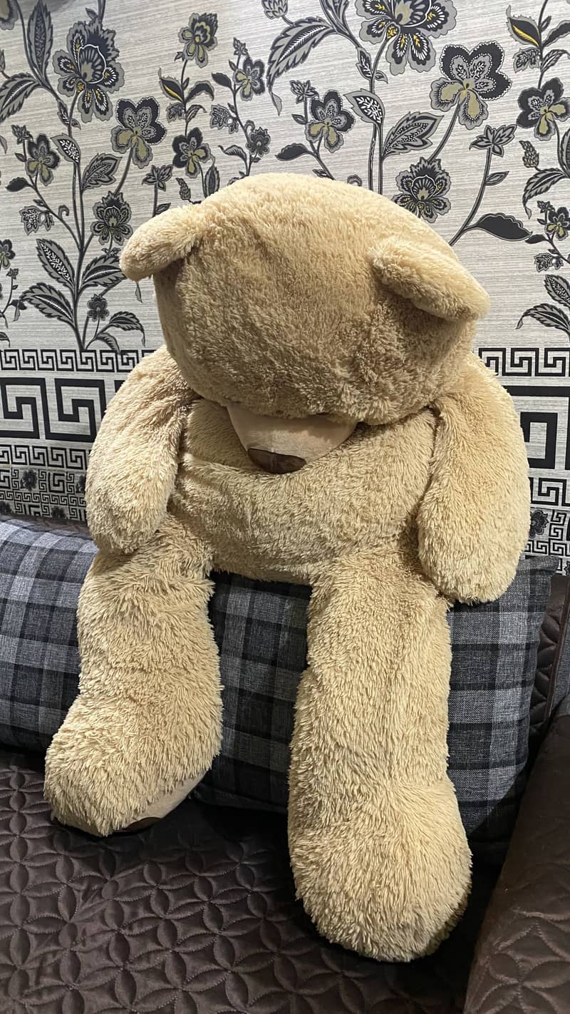 teddy bear 1