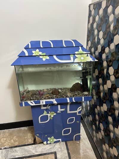 Fish aquarium
