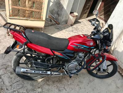 Yamaha | YB 125Z-DX | Model 2023 | Good Condition | No Work | 10/10 |