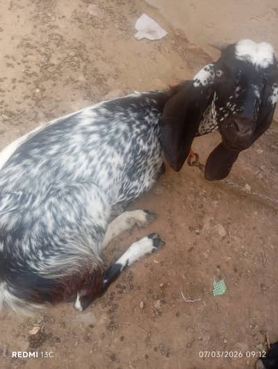 For sale