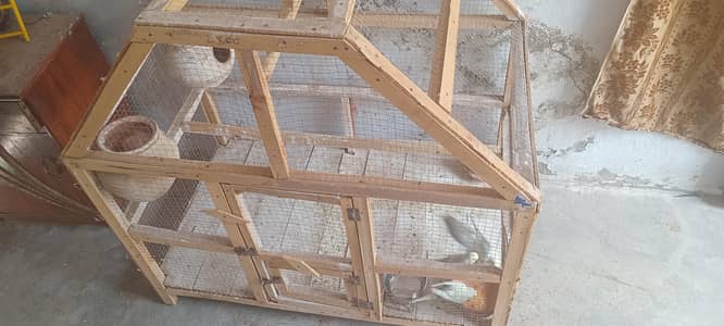 budgies 2 pair with cage ready to breed