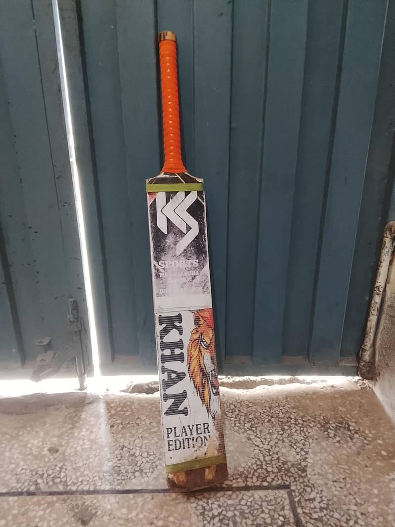Coconut Bat 1