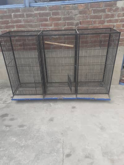 Cage | Parrot cage | Iron cage | Hens cage | Solid cage