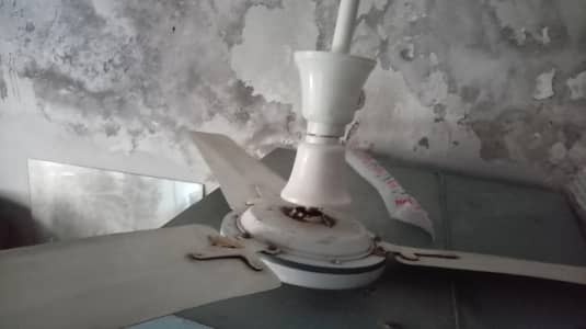 Ceilling Fan